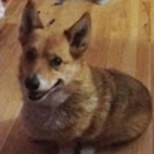 Meet your Posher, Mikayla